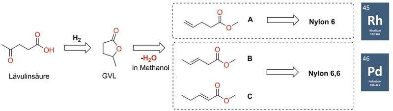 Abb. 2: Herstellung von Nylon ausgehend von Lävulinsäure (Bild: LIKAT)