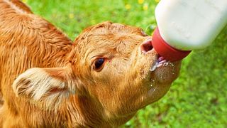  (gemeinfrei, indigoblues38)