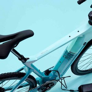 Bis zu 115 Kilometer Reichweite liefert die 500-Wh-Batterie.(Bild:  Bianchi)