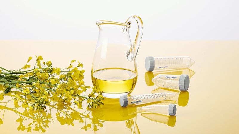 Speiseölabfälle und -reste aus der Lebensmittelindustrie dienen als Rohstoff für hochwertiges Bioplastik, aus dem Eppendorf z.B. Tubes herstellt(Bild:  Eppendorf SE)