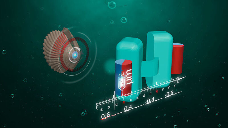 Mikroschwimmer in Muschelform: Nach dem Vorbild von Schalentieren wurde ein winziges U-Boot konstruiert. Mithilfe kleiner Magnete, die hier als rot-blaue Zylinder dargestellt sind, lassen sich die beiden Hälften des Schwimmkörpers öffnen und schließen. (Bild: Alejandro Posada / MPI für Intelligente Systeme)