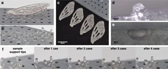 Reuse of support structures in four consecutive prints of a dragonfly wing. Traces of conventional support structures (d) are compared with those of the soluble separation layer (e) as well as the accumulation of resin residues at the tips after each cycle (f).(Source:  MIT)