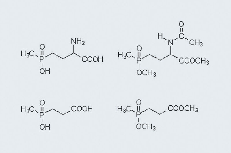 Abb.1: Chemische Strukturen von Glufosinat
(links oben), MPP (rechts unten) und ihren
Derivaten (rechts) für die GC-Analyse. (Archiv: Vogel Business Media)