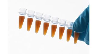 Magnetbeads zur präzisen Nukleinsäureaufreinigung (Bild: Integra Biosciences)