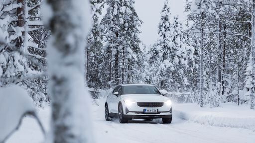 Die Interessenten können den Polestar 2 auch direkt vor Ort Probe fahren. (Bild: Polestar)