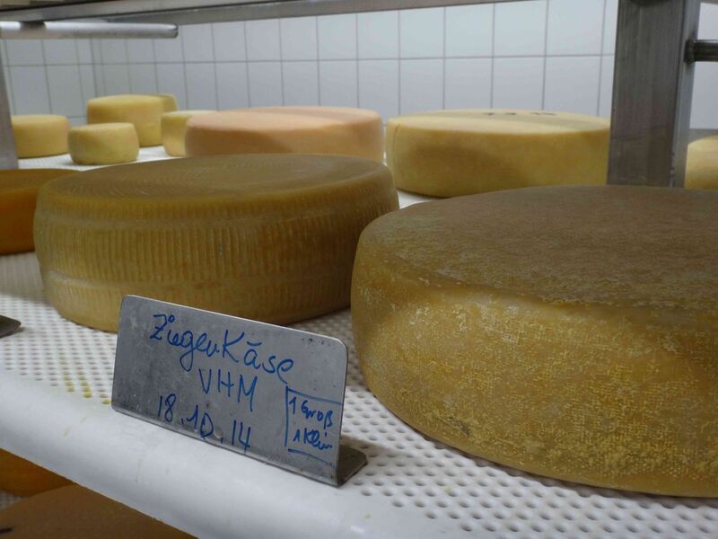In der Forschungs- und Lehrmolkerei der Uni Hohenheim sind auch Lapp-Produkte im Einsatz. Im Kühlraum der Versuchsmolkerei macht der Käse Appetit. (Bild: I. Näther)