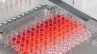 Automatisierung einer Verdünnungsreihe mit einer 96-Well-Platte und dem Viaflo Assist (Bild: Integra)