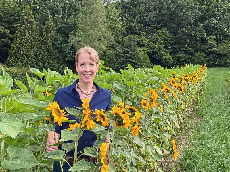 Prof. Brigitte Poppenberger im Sonnenblumenfeld (Bild: Tobias Sieberer)