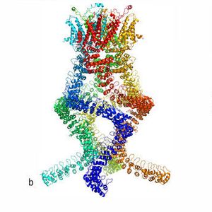 (The Royal Swedish Academy of Sciences)