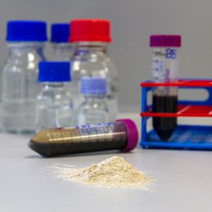 Aus nährstoffreichen Reststoffen wie Abwasser und Gülle oder Gärresten kann Phosphor in Form von Phosphatsalzen zurückgewonnen werden.(Bild:  Fraunhofer IGB)