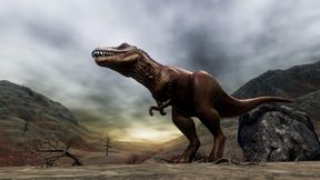 Circa 66 milioni di anni fa, un violentissimo impatto di un asteroide sulla penisola dello Yucatán provocò una catastrofe globale che portò all'estinzione dei dinosauri e di molte altre specie. (Immagine simbolica) (Bild: © Sasa Kadrijevic – stock.adobe.com)