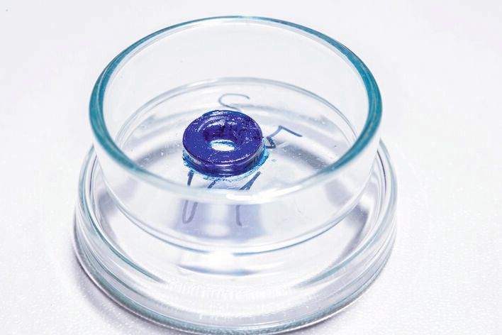 Muster für ein ringförmiges Implantat, das mittels Stereolithographie gedruckt wurde. (Bild: Michael Bause)