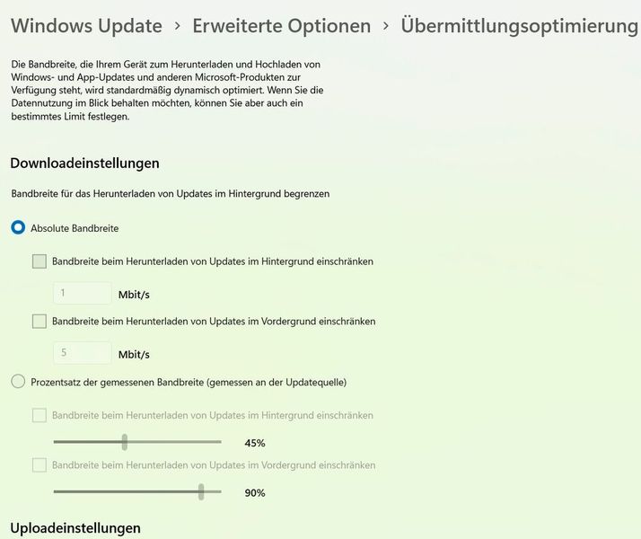 Erweiterte Optionen der Übermittlungsoptimierung auf Windows 11-PCs. (Joos)