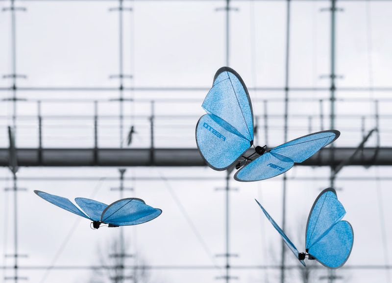 Vorführung in die Technologiefabrik von Festo in Scharnhausen:  Die Steuerung der Schmetterlinge sorgt dafür, dass diese nicht zusammenstoßen. (Bild: Festo)