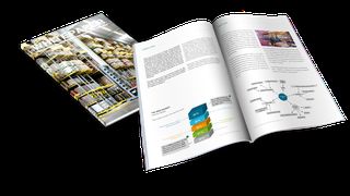 Whitepaper_Empfehlungen_zur_Auswahl_eines_WMS.png (Ehrhardt + Partner GmbH & Co. KG)