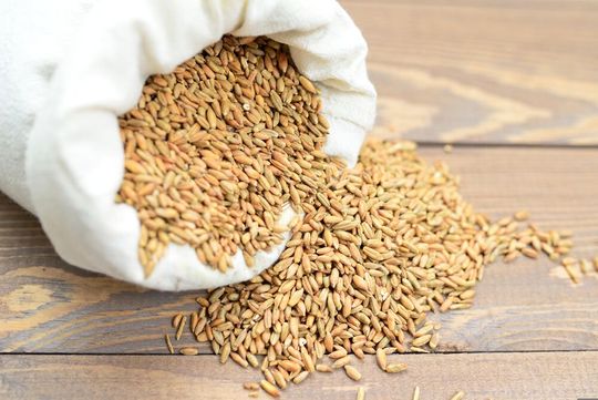 Schwankende Erntequalitäten durch Witterungsextreme und veränderte Düngepraxis stellen die Getreidebranche vor wachsende Herausforderungen. KI-gestützte Bildanalyse und Prognosemodelle bieten Mühlen und Landwirten jetzt praxistaugliche Antworten für Wareneingang, Lagerung und Vergütung.(Bild:  frei lizenziert /  Pixabay)