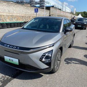 Der Omodo E5 ist eine großzügige Limousine.(Bild:  Autoren-Union Mobilität)