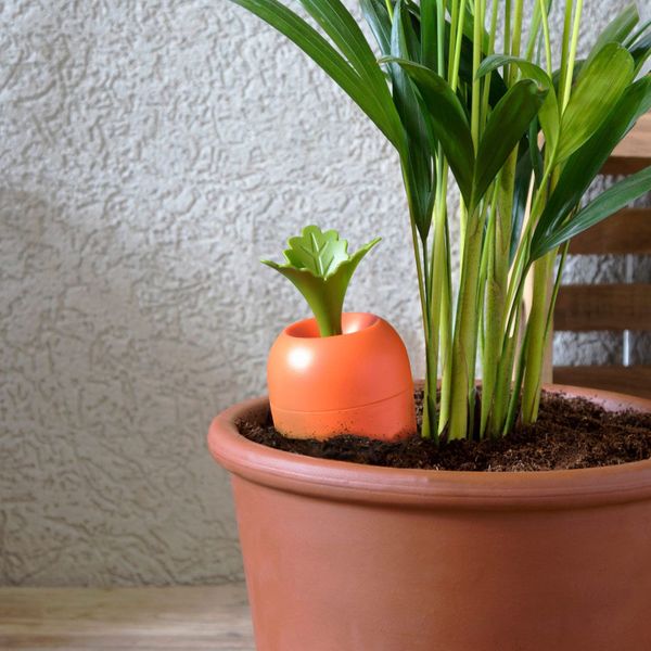 Alle arbeiten im Homeoffice.... aber wer gießt die Pflanzen im Büro? Radbag bietet für 18,85 Euro die Care-It-Bewässerung für Blumentöpfe an. (www.radbag.de)