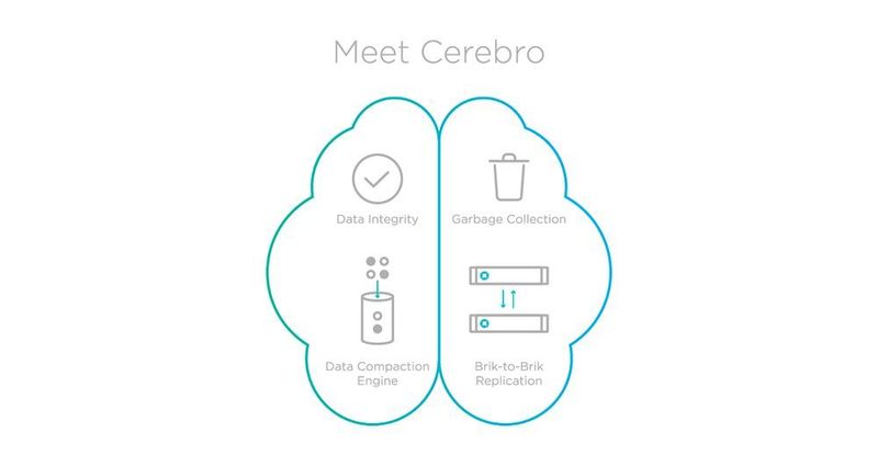 Cerebro ist die Schaltzentrale der Cloud Data Management Lösung von Rubrik. (Rubrik)