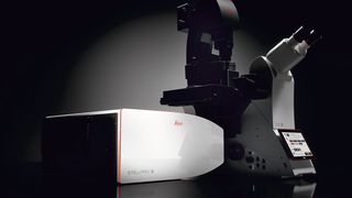 Das System Stellaris 5 ist Teil der neuen konfokalen Mikroskopie-Plattform Stellaris von Leica Microsystems. (Leica Microsystems)