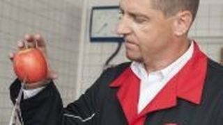 Der KÜS-Prüfer demonstriert wie gefährlich sogenannte Samurai-Antennen sein können – der Apfel hatte keine Überlebenschance. (KÜS)