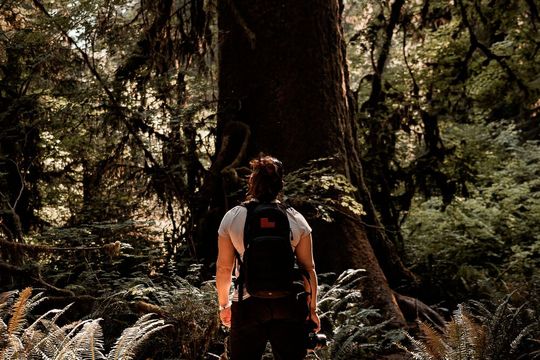 Die Hochschule Worms forscht zum Einsatz von AR-Anwendungen in der Hochschullehre und der Umweltbildung.(Bild:  gemeinfrei / Pexels)