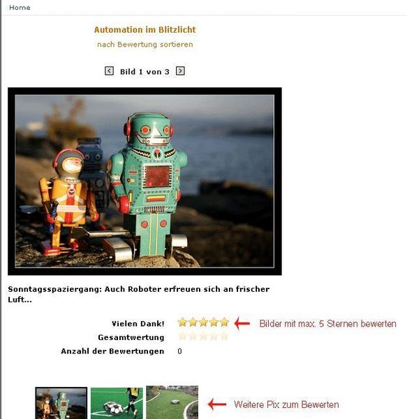 ... in der Bildergalerie können jetzt die Wettbewerbs-Bilder per 5-Sterne-Voting-Verfahren bewertet werden (Archiv: Vogel Business Media)