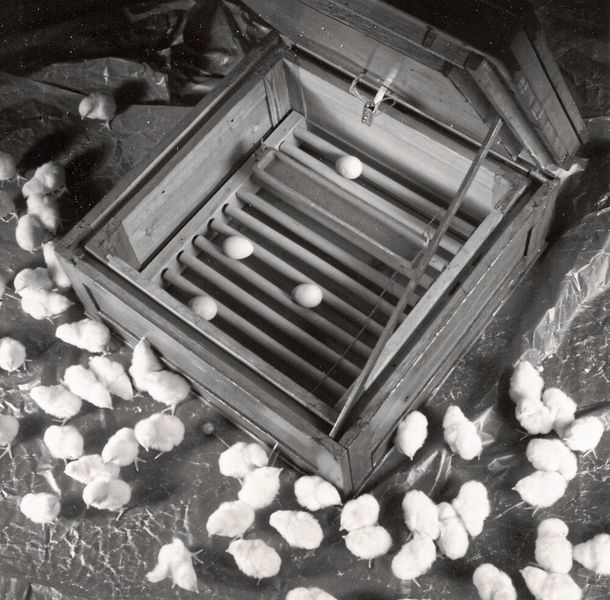 1946: Christian Bürkert startet aus dem Keller des elterlichen Wohnhauses mit der Produktion von Brutapparaten und Wärmeplatten für die Geflügelzucht die Bürkert- Erfolgsgeschichte.   (Bürkert)