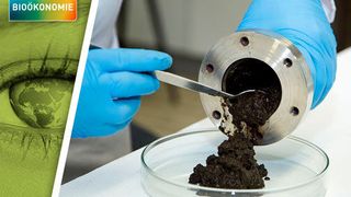 Mögliche Alternative zu Kohle und Erdöl: Ein Team der Universität Hohenheim erforscht Bioraffinerie-Verfahren, die pflanzliche Biomasse in hochmoderne Kohlenstoff-Materialien umwandeln. (Universität Hohenheim)