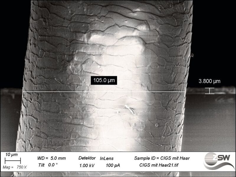 Bild 1: Größenvergleich zwischen einem menschlichen Haar im Vordergrund (105 µm)
und einer CIGS-Dünnschichtsolarzelle im Hintergrund (3,8 µm) im neuen
Rasterelektronenmikroskop am ZSW. (ZSW)