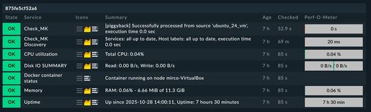 Abbildung 2: Die Standarddaten, die das Docker-Plugin dem Agenten für Container mit auf den Weg gibt.(Bild:  Lang | Checkmk)