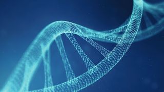 0110913097 (Bild: © rost9 - stock.adobe.com)