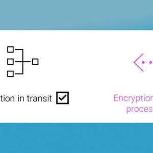 Aktuelle Sicherheitstechnologien schützen Daten nur auf der Festplatte oder während der Übertragung mittels Verschlüsselung. (Bild:  Edgeless Systems)