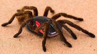 Die von Fujitsu initiierte Studie zur Hybrid Cloud offenbart, welche Unternehmen sich nicht davor gruseln müssen.  (gemeinfrei: Steve Buissinne)