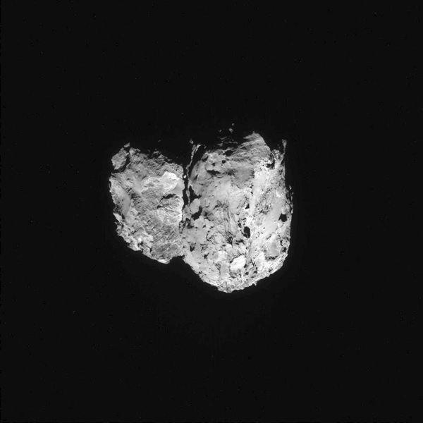 Dieses Bild des Kometen 67P/Churyumov-Gerasimenko wurde am 6. August 2014 von der Navigationskamera an Bord der Raumsonde Rosetta aus etwa 96 km Entfernung zum Kometen aufgenommen. (Bild: ESA)