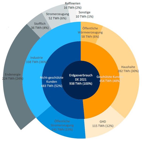 Knapp die Hälfte des Gases wird von geschützten Kunden verbraucht. Der Verbrauch der Industrie lässt sich nochmal unterteilen in Endenergie, stofflich, Stromerzeugung, Raffinierien und Sonstige.  (Bild: vbw)