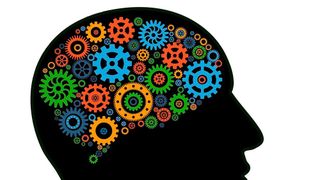 Coglinks simulates how the brain learns and adapts, offering fresh insights into mental flexibility and disorders such as schizophrenia or OCD. (Source: free licensed)