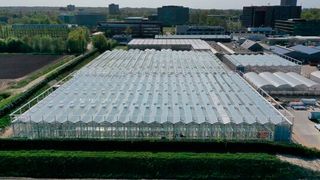 Der Bau des Forschungsgewächshauses Serre Red auf dem Wageningen-Campus kurz vor der Fertigstellung im April 2020. (Bild: Unifarm - Wageningen University & Research)
