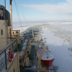 (Bild: Kat 1100 unter GNU-Lizenz CC BY 3.0, wikipedia.de)