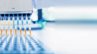 Tipps zum Pipettieren im Labor gab es beim Online-Forum Liquid Handling am 28. Februar 2023 (Symbolbild). (Bild: eplisterra - stock.adobe.com)