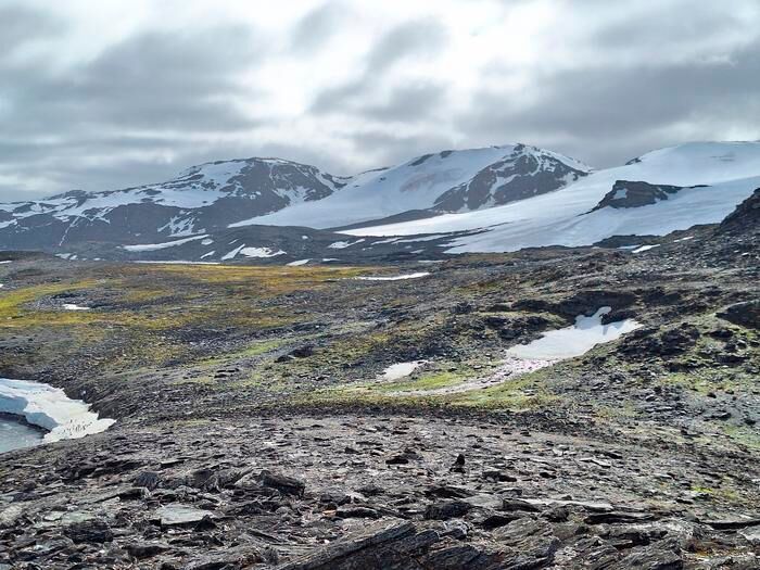 “Note the clear nunatak at the mid-right of the glacier,” said Convey. “This is named 'Manhaul Rock' and, when I was first on Signy in 1989-91, it was literally a small rock poking through the ice surface that you could walk/ski/drive a skidoo up to.” (Source: Prof Peter Convey)