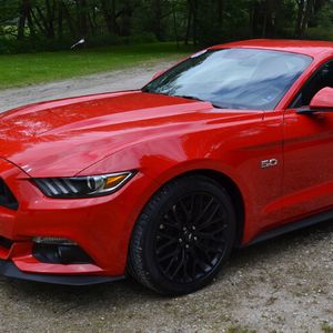 Erstmals in seiner über fünfzigjährigen Geschichte wird der Mustang offiziell auch über das deutsche Ford-Händlernetz vertrieben.