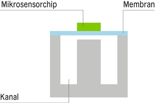 Abb.5: Durch das W-förmige Kanalprofil wird abseits des Hauptstroms eine Art Pseudo-Bypass mit laminarer Strömung gebildet.(Bild:  Sensirion)