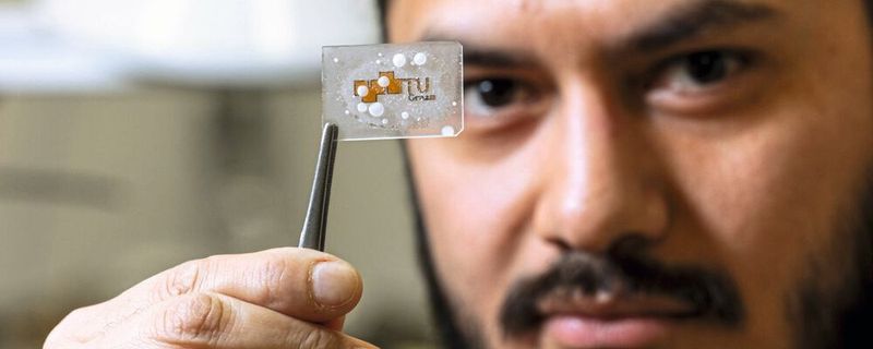 Die eisabweisende Beschichtung ist hauchdünn. Für ihre Versuche haben Anna Maria Coclite und Gabriel Hernández Rodríguez (hier im Bild) die Schicht in Stärken zwischen 300 und 500 Nanometer aufgetragen.(Bild:  Lunghammer - TU Graz)