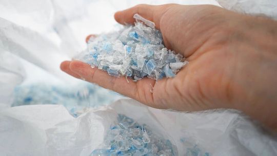 Die auf der Herbold-Waschanlage produzierten rPET-Flakes zeichnen sich durch konstante Qualität und hohe Reinheit aus und erfüllen die Anforderungen hochwertiger Anwendungen.(Bild:  Herbold Meckesheim, Germany)