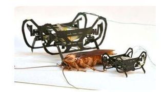 Hightechschabe (Kaushik Jayaram)