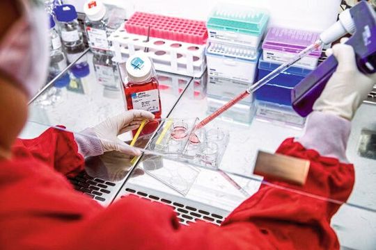 Vorbereitung des Mediums für Säugetierzellen, das die Techniker zur Züchtung der Viren im Labor verwenden. Vorbereitung des Mediums für Säugetierzellen, das die Techniker zur Züchtung der Viren im Labor verwenden.