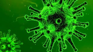 Wenn die Abwehrzellen bestimmte Proteine aus Erregerzellen z.B. eines Grippevirus aufnehmen, können Fehler auftreten. (gemeinfrei)