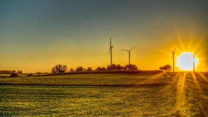 Platz 3: So viel CO2 verursacht das Surfen im Internet: Die Internetznutzung steigt weltweit und damit auch der CO2-Ausstoß. Der Ausbau von Glasfaser könnte die Nutzung nachhaltiger machen. (Bild: gemeinfrei)