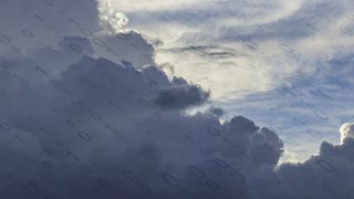 dm-sh-sap-2021-15-shutterstock-1831456993ken-schulze (Quelle: Who is Danny und Ken Schulze/shutterstock)